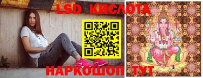 крисы Севастополь