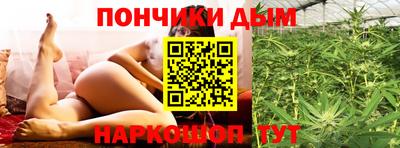 крисы Севастополь