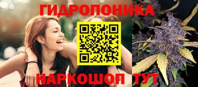 крисы Севастополь